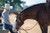 Working Tack Extra Heavy Harness Split Reins with Pineapple Knot Ends, 5/8" x 8'