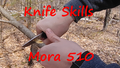 Mora Spine Sharpening Service