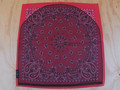 Ben's Backwoods Bandanet Survival Bandana Red Paisley