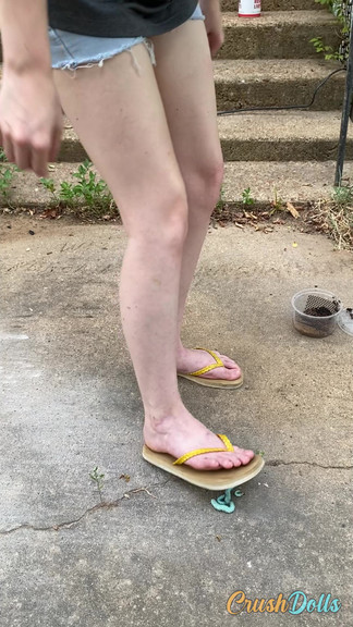 Anna steps on hornworms with her feet in flip flops