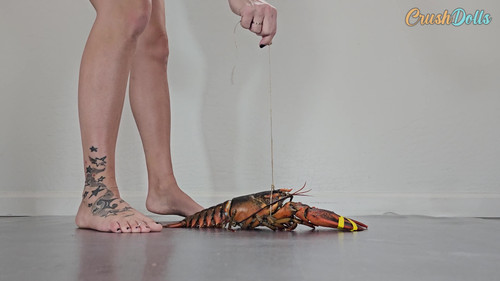 Paige crushes a lobster barefoot