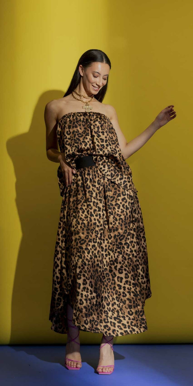 OI - Dec - Animal Slip Skirt and Strapless Top