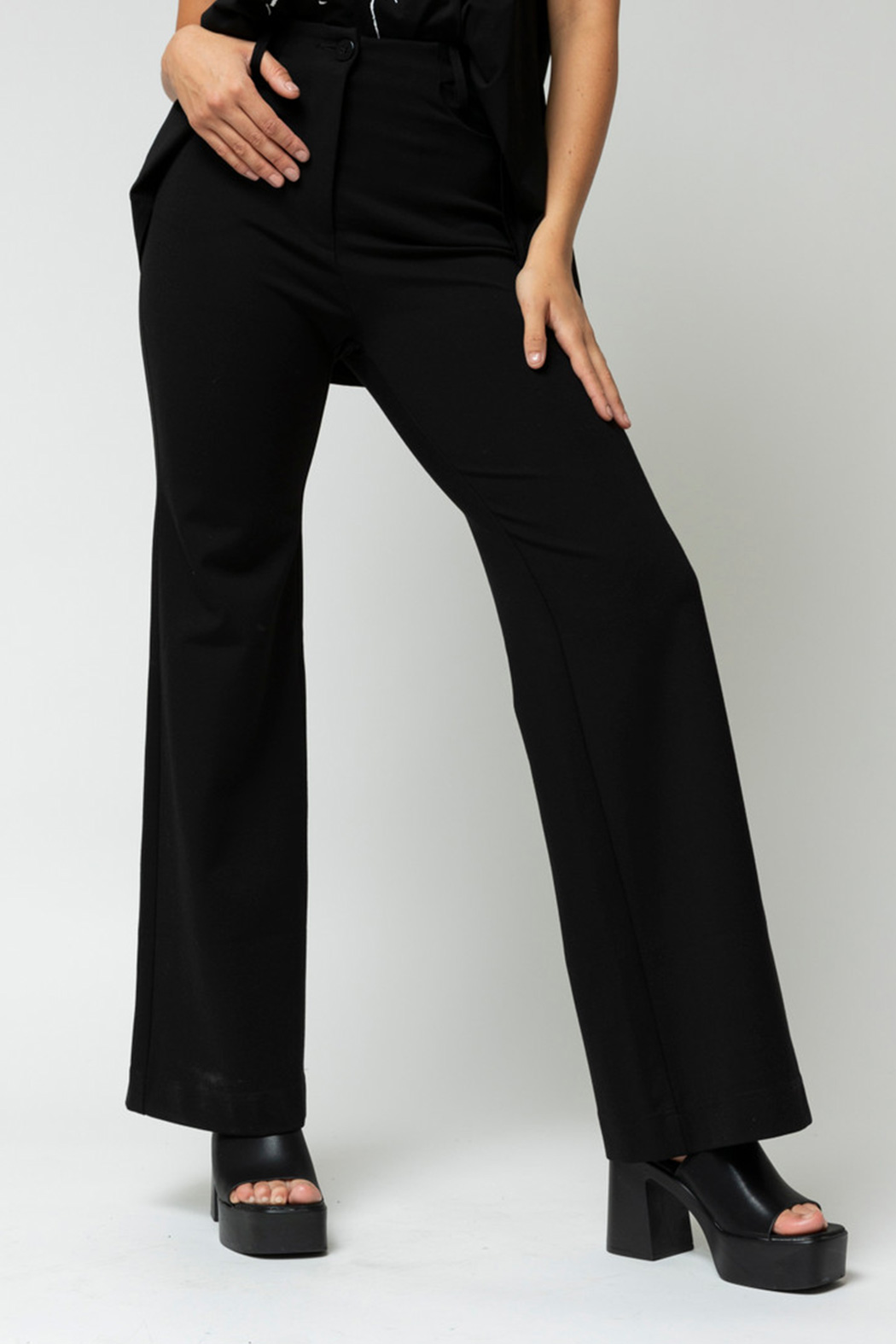 Ponte Pants by Caroline Morgan  For Everybody