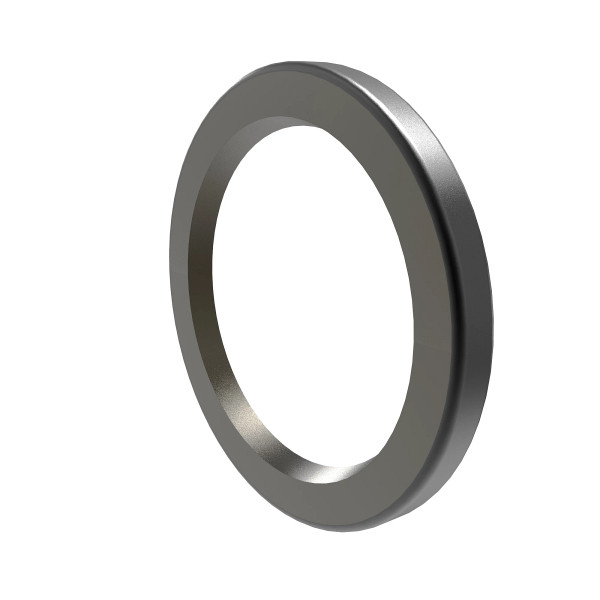 AP24780: Internal Oil Seal