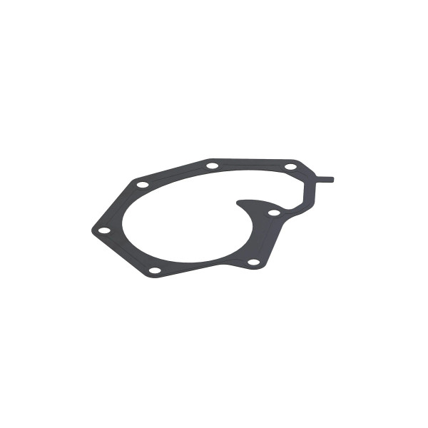 GASKET, WATER PUMP - R97455