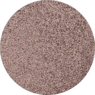 Frosted Morning - Eyeshadow