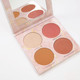 Luminous Light - MEDIUM Face Palette