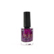 Dreamscape - Nail Polish