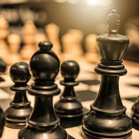 Leadership in a Non-Profit Organization Product Image