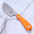 Model 1 Skinner