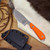 Model 1 Skinner