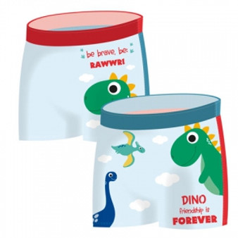 Dinosaur Swimming Shorts Size:6 Years