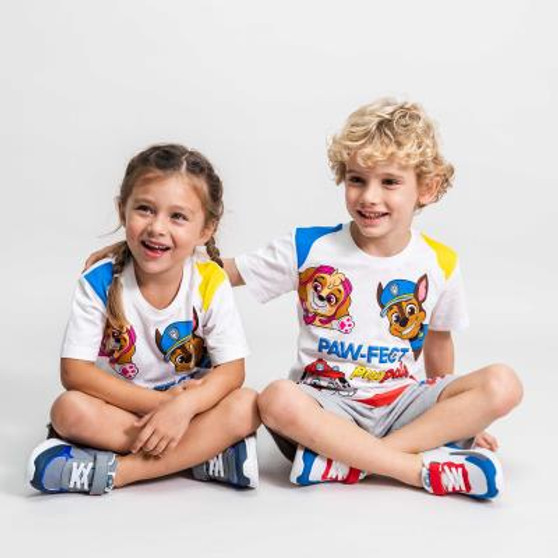 Paw Patrol pals summer set