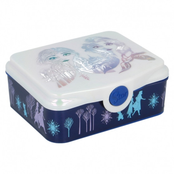 Frozen Mettalic Lunch Box