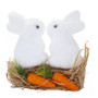 Easter Bunnies with Grass and Carrots