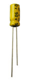 Electrolytic, Radial 50V Non-Polarized
