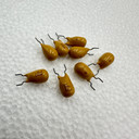 KEMET 100uf 20v 10% Radial Tantalum Capacitor