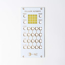 NLC1015 Cellular Automata