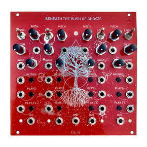 Djupviks Beneath The Bush of Ghosts