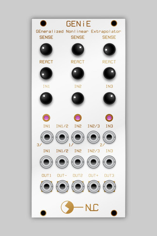 This module is made of 3 neuron circuits and a difference rectifier.
