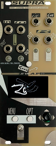 Time Travel CV Playground  A new Eurorack module from Jonah Senzel, creator of Pet Rock