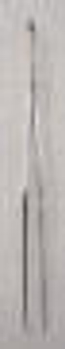 Tweezers, General Purpose