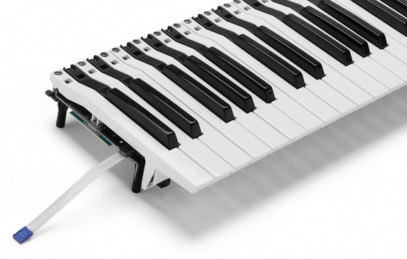 Fatar TP8SK Synthesizer Keybed w/Mono Aftertouch