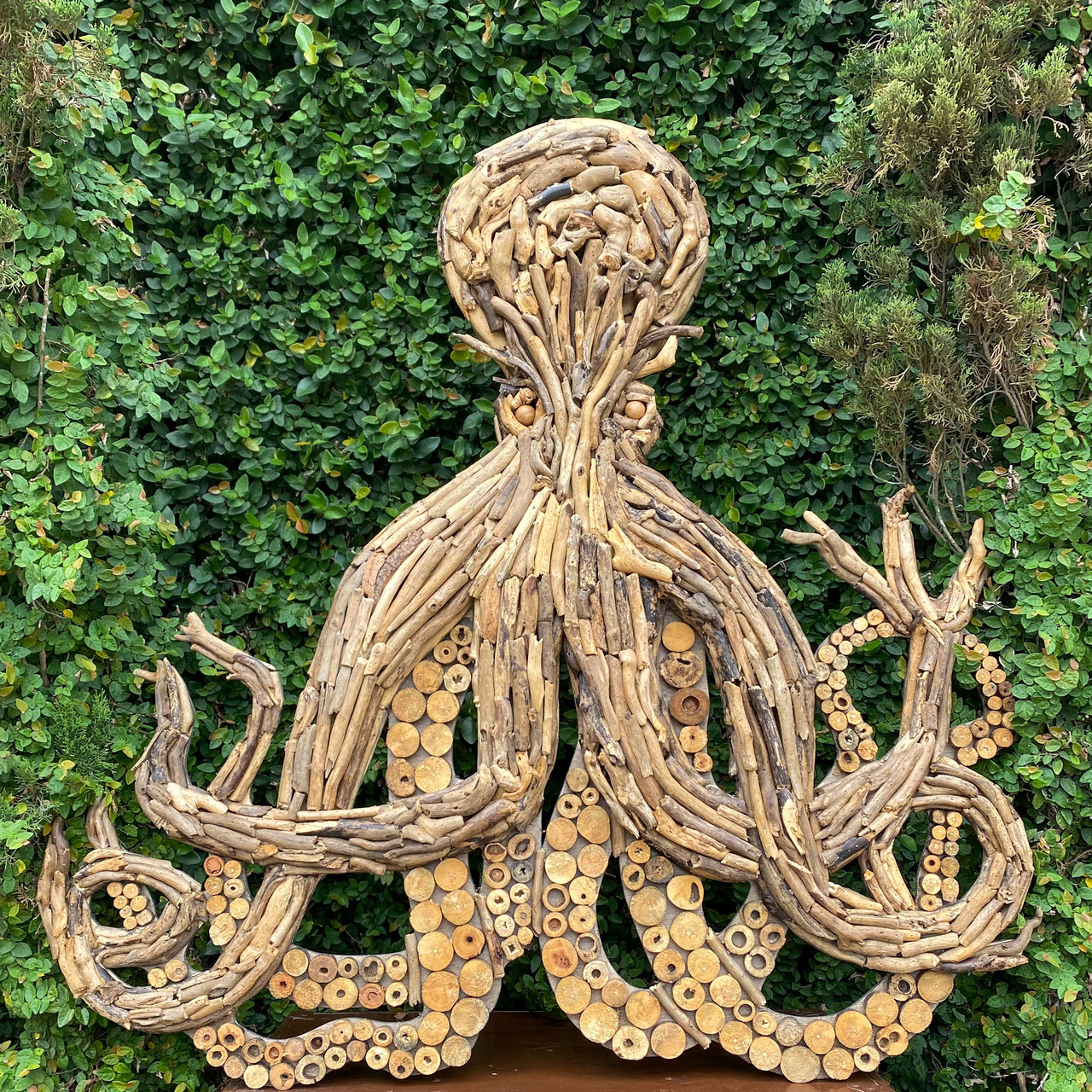 Driftwood Octopus Wall Art Ocean Springs Mercantile