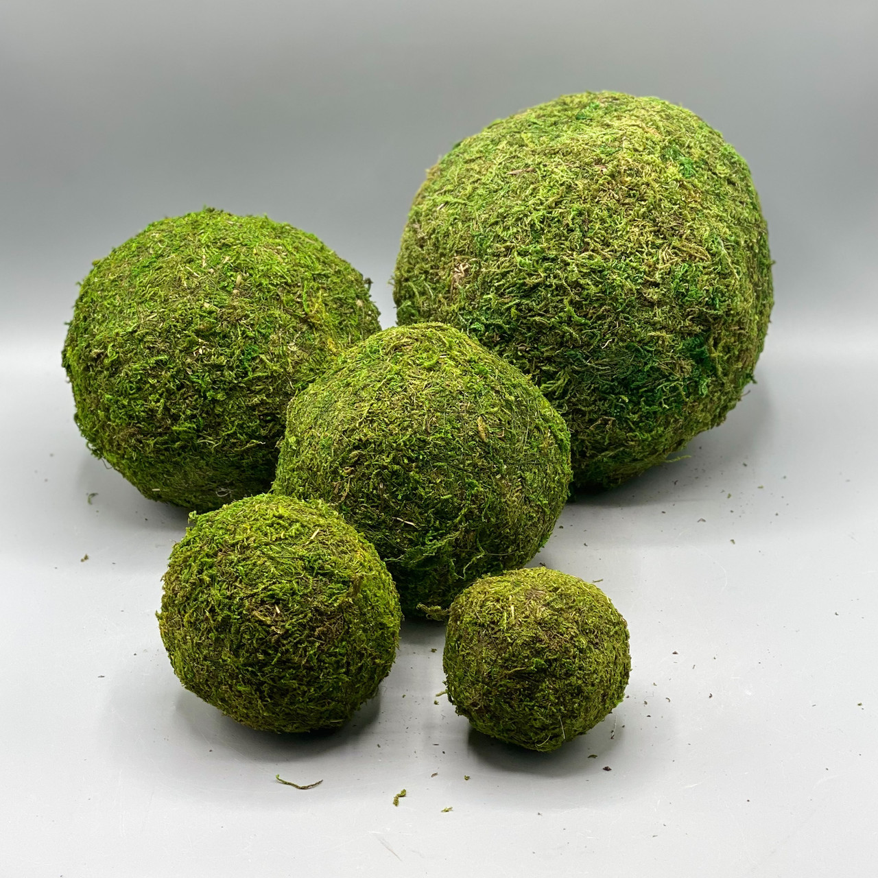 Decorative Moss Ball - Ocean Springs Mercantile