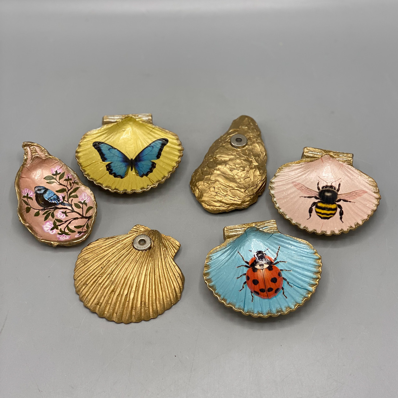 Shell Magnet - Ocean Springs Mercantile
