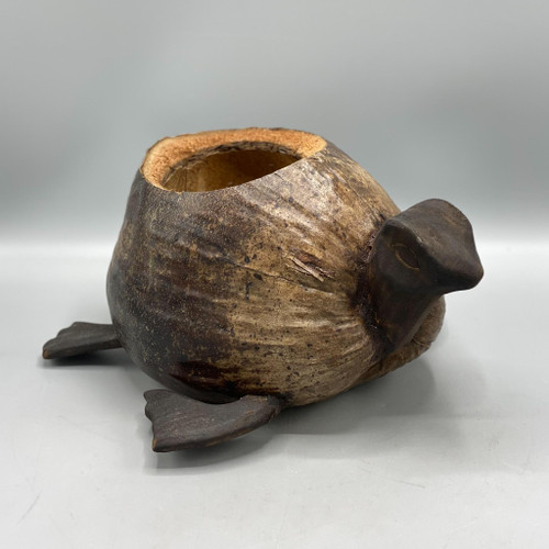 Coconut Turtle Planter