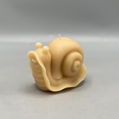 Snail Shaped Candle