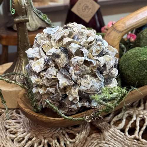 7" Oyster Shell Ball
