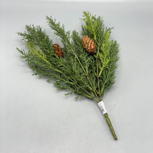 Arborvitae Bush