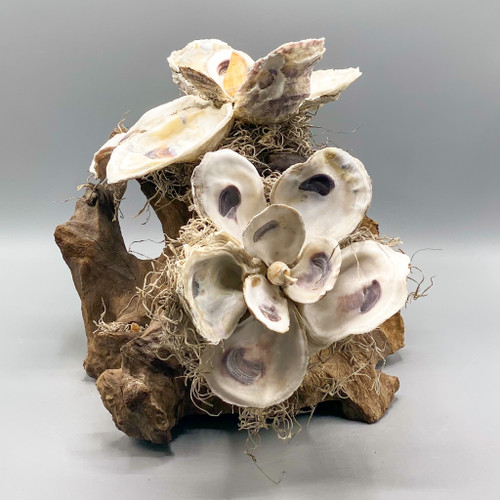 2 Handmade Magnolia Shells on Driftwood