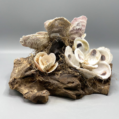 Handmade Shell Magnolia Trio on Driftwood