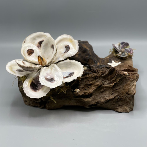 Handmade Shell Magnolia & More on Driftwood