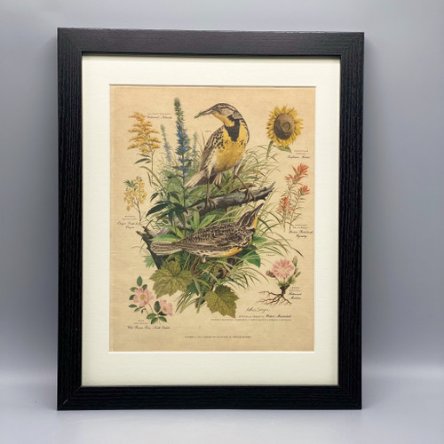 Vintage Singer Print, Sunflower