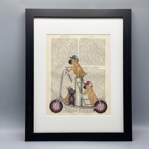 French Bulldog Scooter Framed Book Print