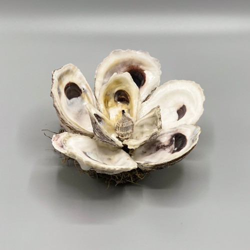 Handmade Oyster Shell Magnolia Flower, Medium