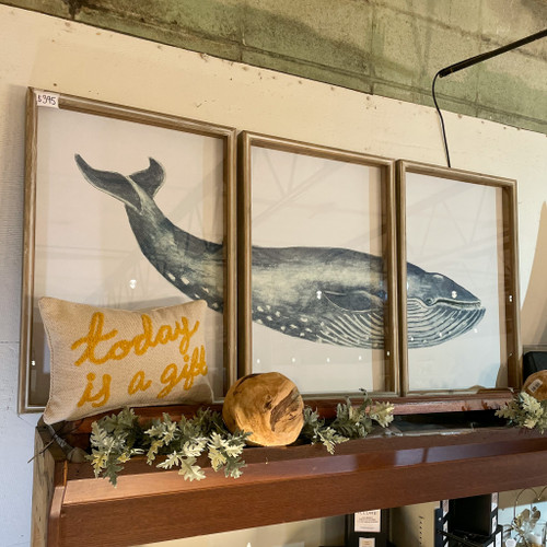 Framed Whale Triptych Print Wall Art
