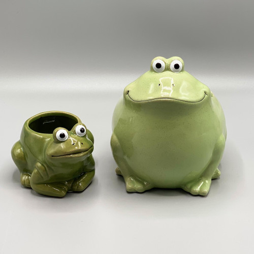 Frog /Toad Planter