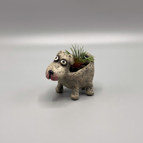 Plant w/Petunia Dog Planter