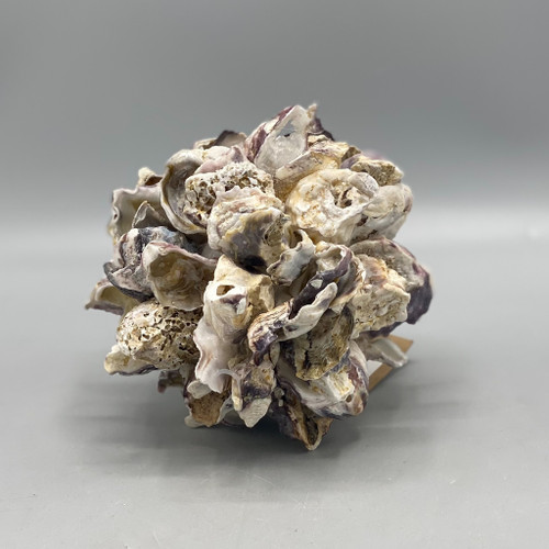 5" Oyster Shell Ball