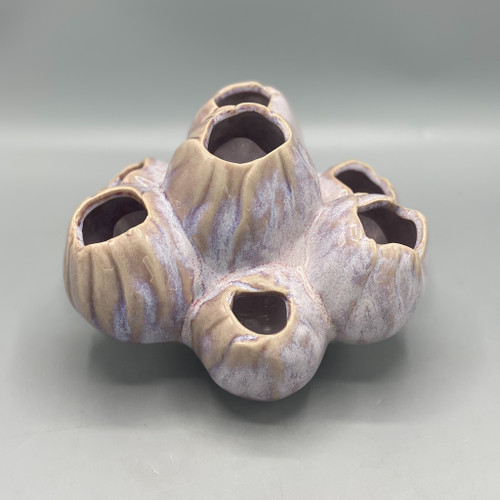 Barnacle Bud Vase