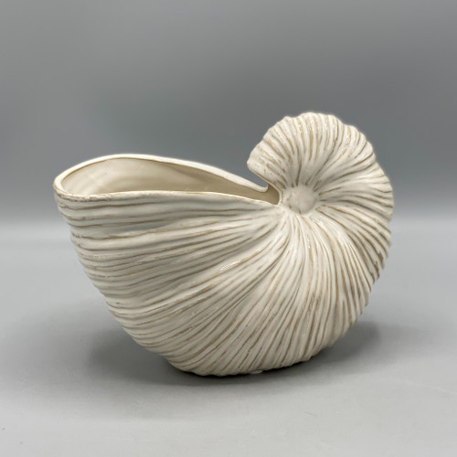 White Nautilus Vase