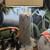 Sochi Bronze Twin Pulls Table Lamp