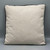 Citrus Pillow