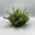 Telluride Spruce Half Sphere