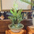 Green Sculptural Vase